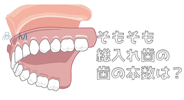 総入れ歯　歯の本数