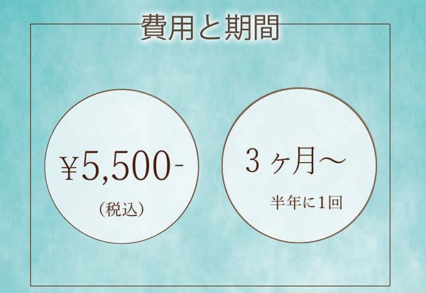 オールオン4 オーラルケア 費用と期間