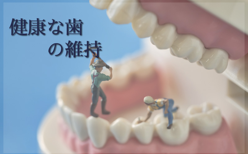 健康な歯の維持