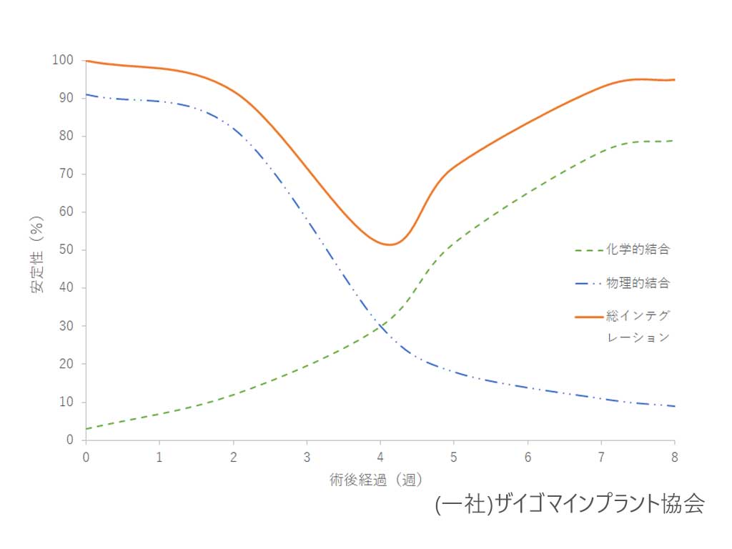 オッセオインテグレーション　期間